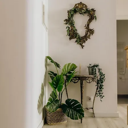 Hébergement de vacances Casa Feijao No Centro De Setúbal