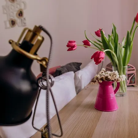 Casa Feijão No Centro De