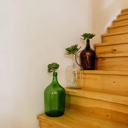 Casa Feijao No Centro De