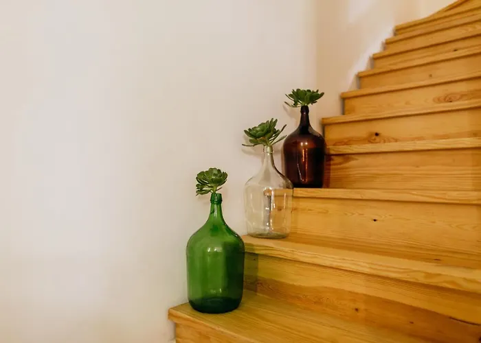 Casa Feijao No Centro De